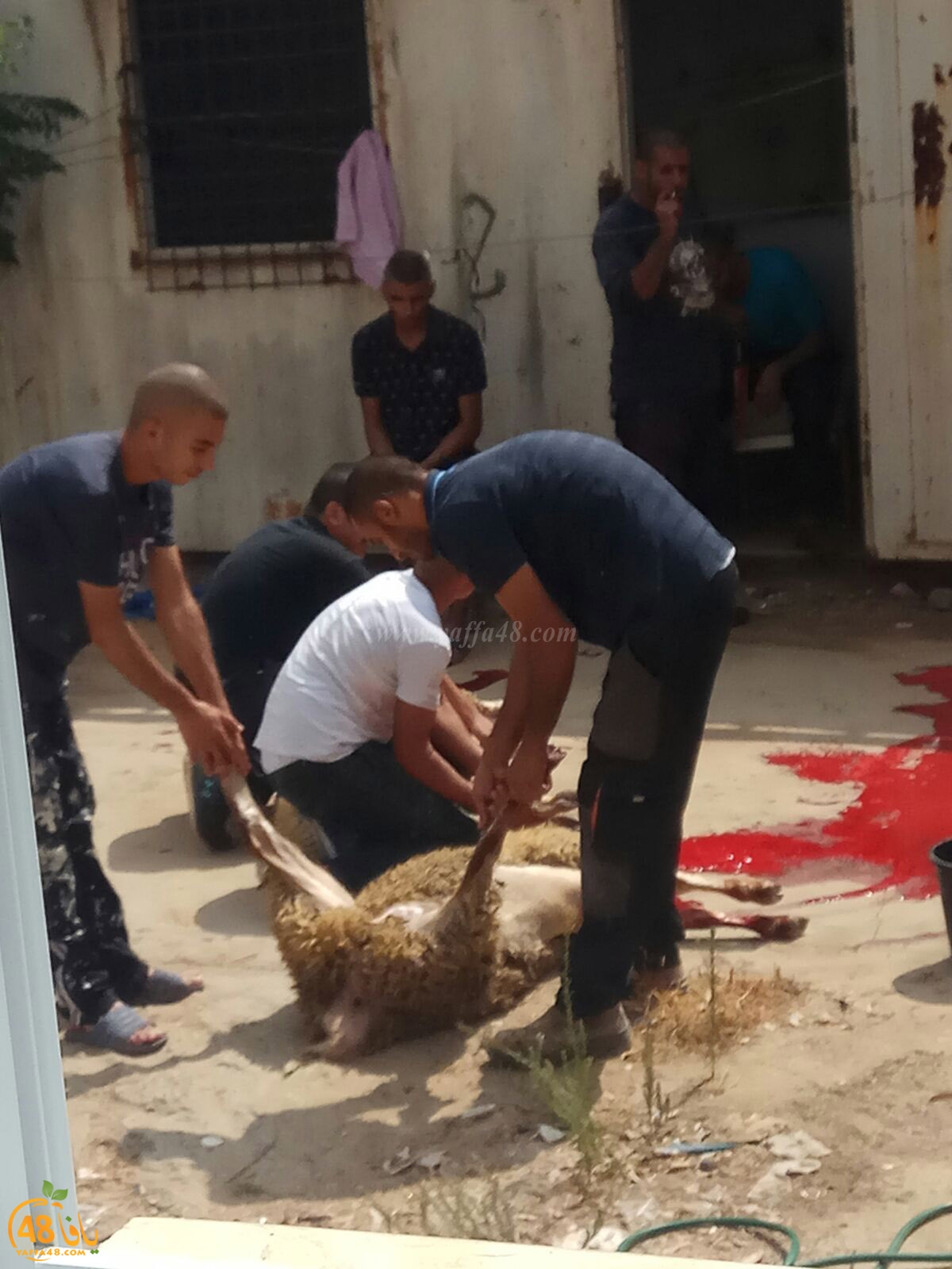 dab7 ada7y wu3ed (26).jpg